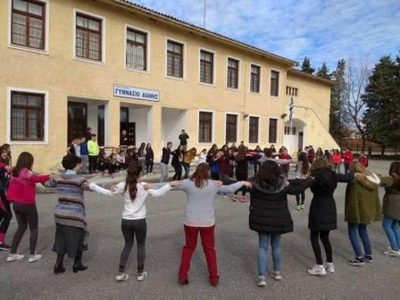 Συνάντηση σχολείων των Βαλκανίων στο Γυμνάσιο Αιανής με θέμα : &quot;Η αλληλεγγύη σε περίοδο κρίσης&quot;