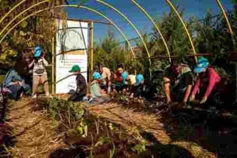 ΔΕΗ και Open Farm προωθούν τη βιώσιμη γεωργία στους μαθητές μέσω του “Carbon Farming Schools”