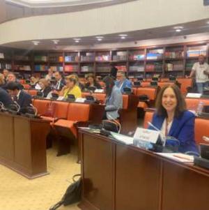 H Καλλιόπη Βέττα στην Κοινοβουλευτική Συνέλευση των χωρών της Νοτιοανατολικής Ευρώπης στην Βόρεια Μακεδονία