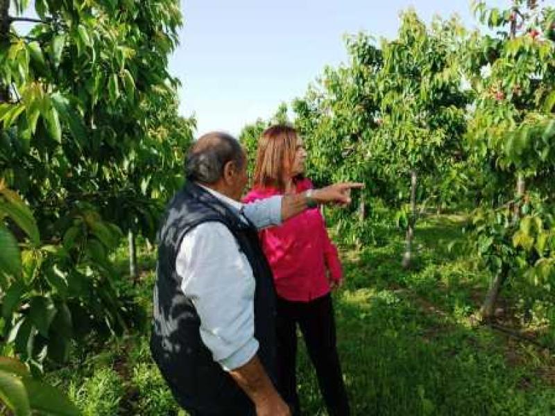 Καλλιόπη Βέττα: Συνάντηση με αγρότες στα Κομνηνά, το Μεσόβουνο και τους Πύργους