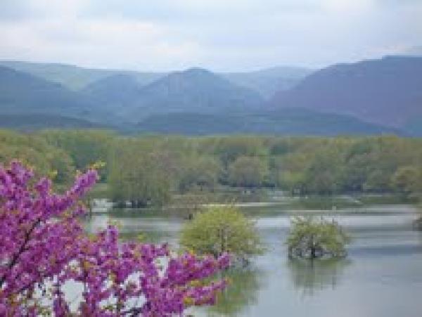 Προκύρηξη για την αλιευτική μίσθωση των 4 λιμνών της Δυτ.Μακεδονίας
