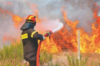 Πυρκαγιά σε δασική περιοχή στην Τ.Κ. Αχλάδας του δήμου Φλώρινας