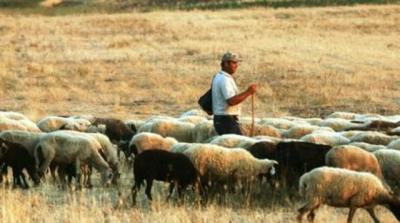 ΣΥΡΙΖΑ ΓΡΕΒΕΝΩΝ: Ο εμπαιγμός των κτηνοτρόφων συνεχίζεται.