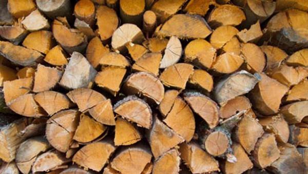 Δήμος Σερβίων – Βελβεντού: &#039;&#039;Δωρεάν διάθεση ξυλοκάρβουνου και ξύλων&#039;&#039;