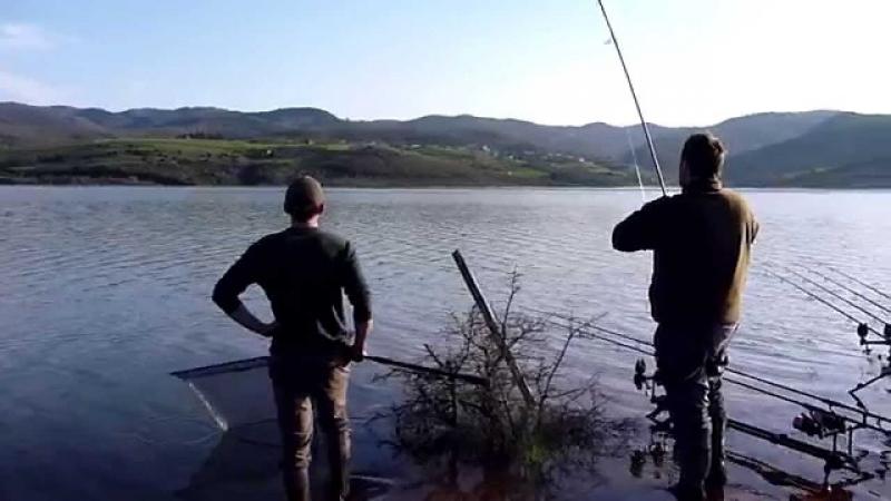 Απαγόρευση αλιείας στη τεχνητή λίμνη Πολυφύτου, Ιλαρίωνα κλπ