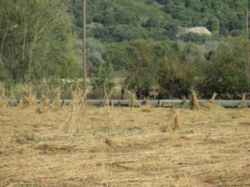 Αναφορά της Π. Πέρκα για τις ζημιές στην καλλιέργεια Φασολιών Πρεσπών απο χαλαζόπτωση