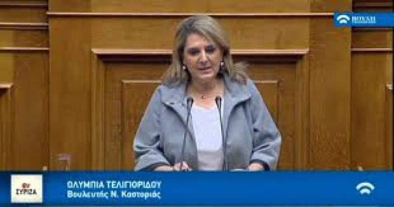 Η Ολυμπία Τελιγιορίδου στην Επιτροπή Παραγωγής και Εμπορίου για την είσοδο ιδιωτών στον  ΕΛΓΑ