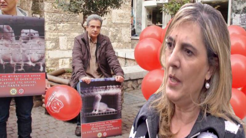 Πόλεμος ανακοινώσεων ανάμεσα στην βουλευτή Καστοριάς του ΣΥΡΙΖΑ Ολυμπία Τεληγιορίδου και του κεντρικού στελέχους του κόμματος Θέμη Δημητρακόπουλου