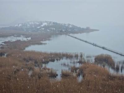 Το ΥΠΑΑΤ για τους θανάτους αργυροπελεκάνων  στις Λίμνες Πρεσπών, Καστοριάς και Χειμαδίτιδας.