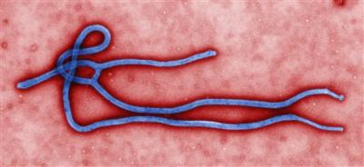 Χρηστικές πληροφορίες από το ΚΕΕΛΠΝΟ για τον ιό Έμπολα