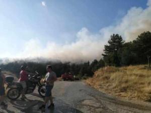 Υπό έλεγχο η φωτιά στην Δεσκάτη Γρεβενών