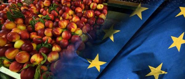 Ερώτηση  Ανδρουλάκη στην Κομισιόν  για τις επιπτώσεις στα Ελληνικά γεωργικά προϊόντα λόγω της απαγόρευσης που επέβαλε η Ρωσία
