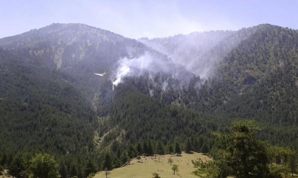 Συνεχίζεται για 2η μέρα η φωτιά στην ορεινή περιοχή της Σαμαρίνας Γρεβενών (βιντεο)