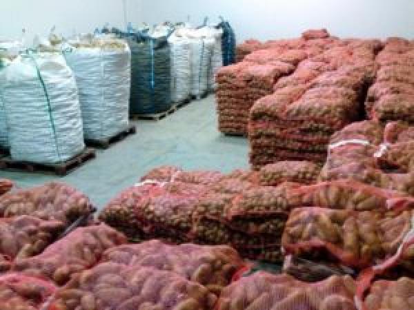 Κοζάνη: Πάγωσαν 2.500 τόνοι πατάτας στην Καστανιά Σερβίων. Αποζημιώσεις ζητούν οι πατατοπαραγωγοί