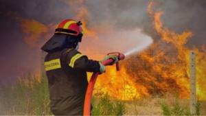 Φωτιά σε δασική περιοχή στην Βλάστη Κοζάνης