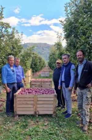 Ο Κασαπίδης για τις καταστροφές απο χαλάζι σε Καστοριά και Πρέσπες