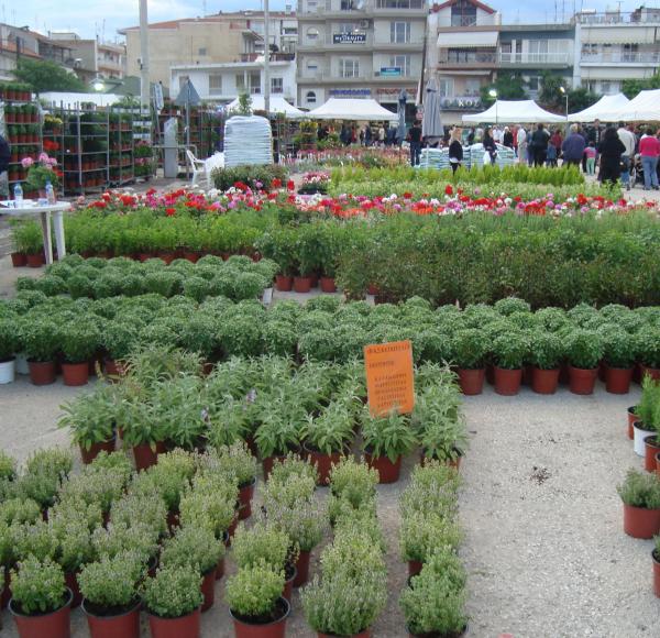 Το πρόγραμμα της 18ης ανθοκομικής έκθεσης του δήμου Εορδαίας