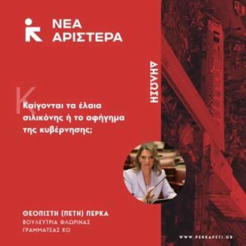 Πέτη Πέρκα: «Καίγονται τα έλαια σιλικόνης ή το αφήγημα της κυβέρνησης;»