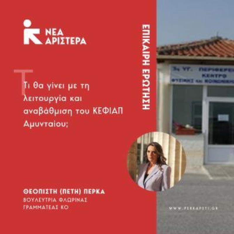 Ερώτηση της Π. Πέρκα για την λειτουργία του ΚΕΦΙΑΠ Αμυνταίου