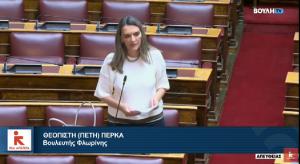 Πέτη Πέρκα: &quot;Να καταψηφιστούν στην κάλπη οι αυξήσεις «φωτιά» στο ρεύμα!