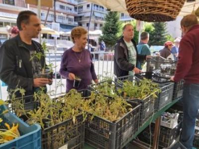 Δήμος Γρεβενών:Εκδήλωση Δωρεάν Διάθεσης Παραδοσιακών Σπόρων και Φυτών