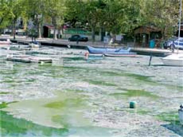 Ηλεκτρονικός εξοπλισμός για τον έλεγχο της στάθμης της λίμνης Καστοριάς