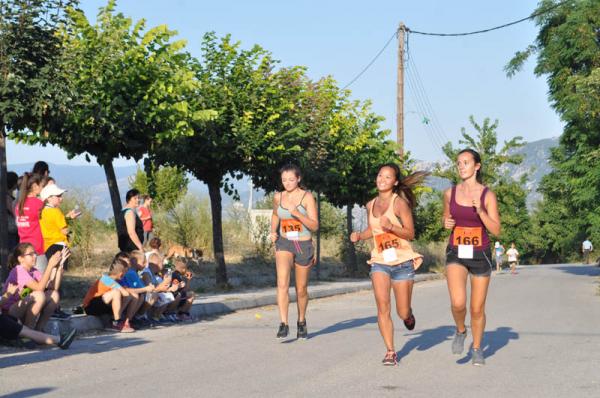 Φωτογραφίες από το 15ο δρόμο Απολλόδωρου στο αρχαιολογικό μουσείο Αιανής