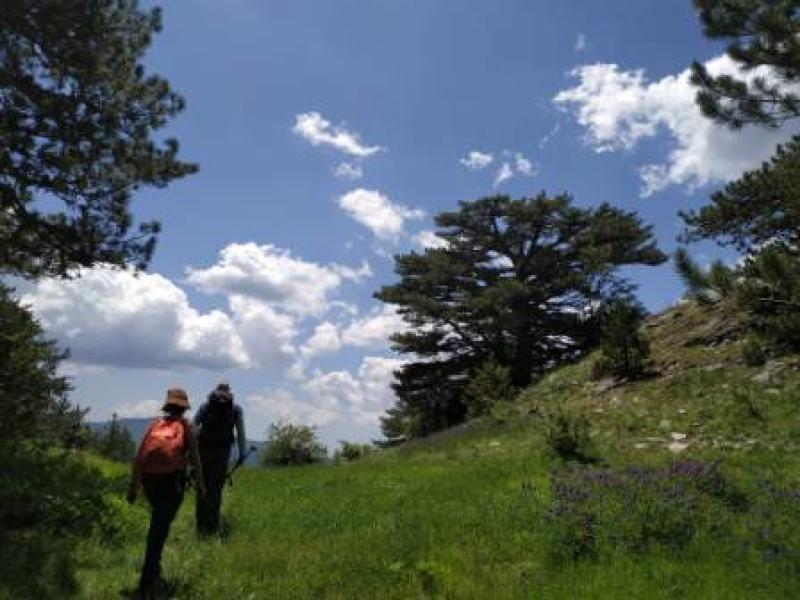 Ο Ε.Ο.Σ. Κοζάνης διοργανώνει ορειβατική διαδρομή στην  Βάλια Κάλντα