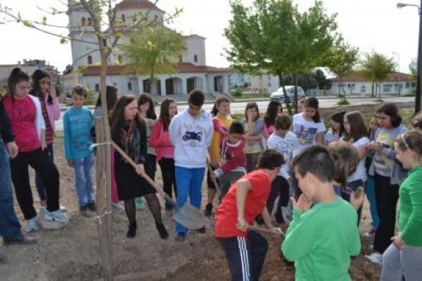 Περιβαλλοντικές πρωτοβουλίες απο το Δημοτικό σχολείο και το σύλλογο στα Πλατάνια