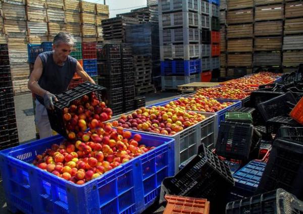 Συνάντηση του υπουργού ΠΑΠΕΝ Π. Λαφαζάνη και του αναπληρωτή υπουργού Αγροτικής Ανάπτυξης Β. Αποστόλου με εκπροσώπους ροδακινοπαραγωγών