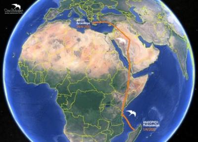 Από την Μαδαγασκάρη στα Αντικύθηρα μέσα σε 26 ημέρες! Πως κατέγραψαν δορυφορικά το ταξίδι ενός διάσημου γερακιού που ειναι φανατικός λάτρης των Αντικυθήρων