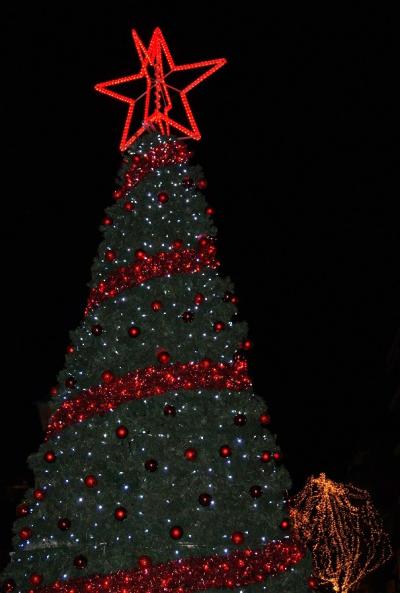 H φωταγώγηση του Χριστουγεννιάτικου δέντρου της Κοζάνης απο τον Δήμαρχο Λ. Ιωαννίδη (photo)