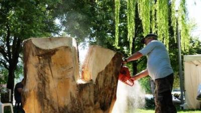 Γρεβενά: Επιασαν δουλειά οι ξυλογλύπτες στο Πάρκο των Μανιταριών – Ξεκίνησε το τετραήμερο φεστιβάλ Μανιταρογλυπτικής τ