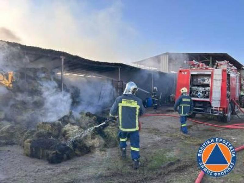 Κατασβέστηκε η φωτιά σε κτηνοτροφική μονάδα στο Αρμενοχώριο Φλώρινας