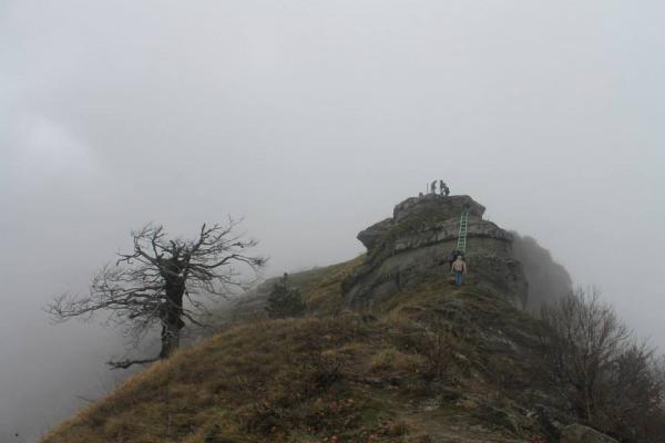 Ο Ε.Ο.Σ. ΚΟΖΑΝΗΣ την Κυριακή 5.11.2017 διοργανώνει ορειβατική εξόρμηση στο Βόϊο.