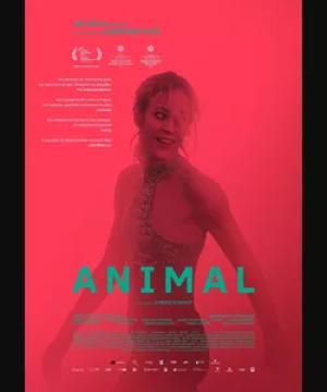 &quot;Animal&quot; - ταινία - Η σκοτεινή πλευρά των διακοπών | γράφει ο Ελισσαίος Βγενόπουλος