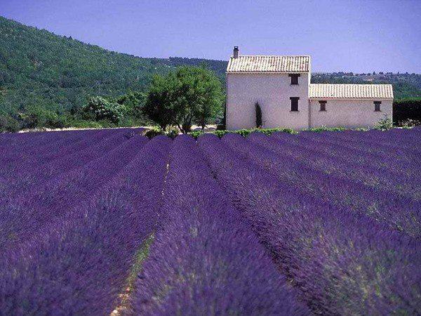 Εγκρίθηκαν οκτώ προγράμματα προώθησης αγροτικών προϊόντων ύψους 17,43 εκ €