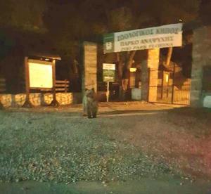 Μέτρα για την αντιμετώπιση της εμφάνισης αρκούδας στο Ζωολογικό Κήπο της Φλώρινας