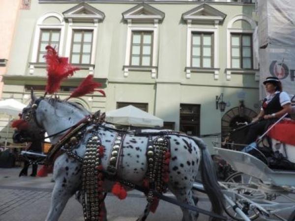 Τα άλογα της Κρακοβίας